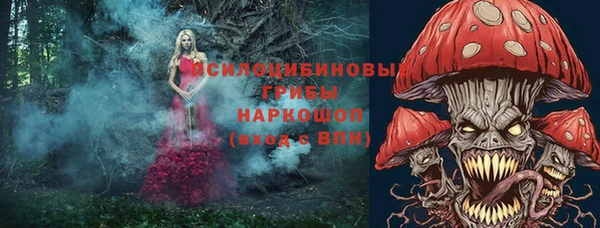 герыч Алзамай