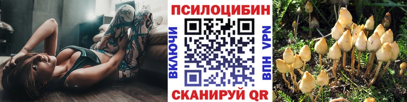 Псилоцибиновые грибы Psilocybe Любань